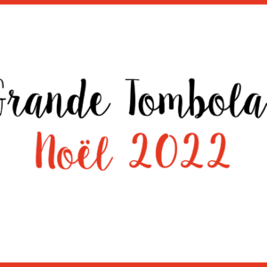 Tombola noel 2022 don inseme famille malade enfant