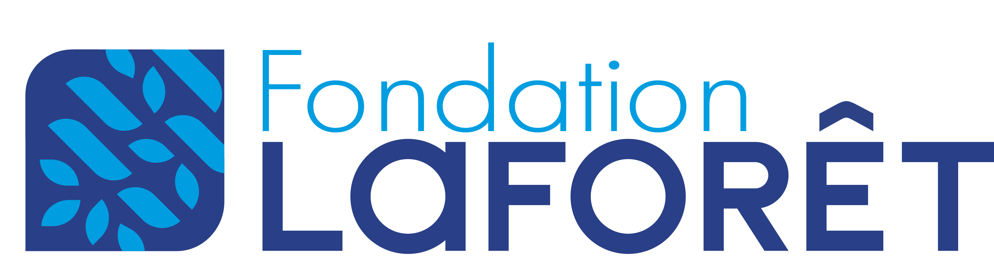 Laforet fondation inseme don association